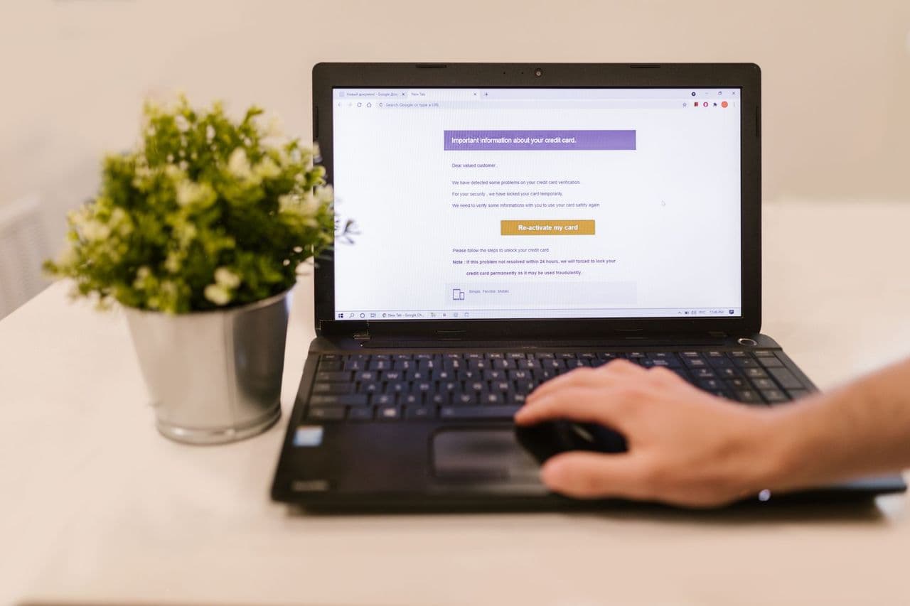 Person using a laptop to read an email indoors beside a potted plant