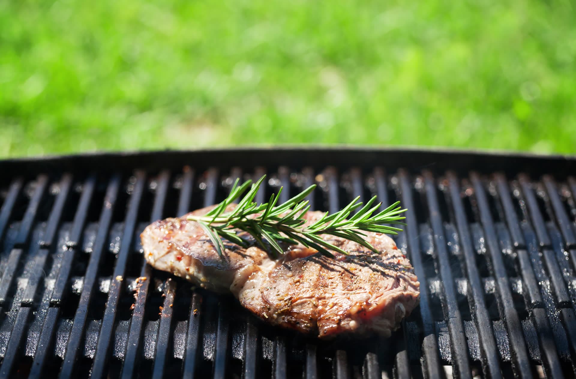 Grilled steak with rosemary on a barbecue grill
